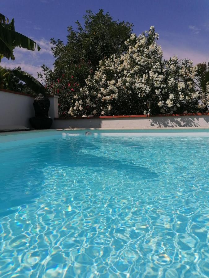 La Maison D'Hotes Du Moulin Lagardelle-sur-Lèze Dış mekan fotoğraf